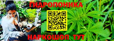 дурь Донецк