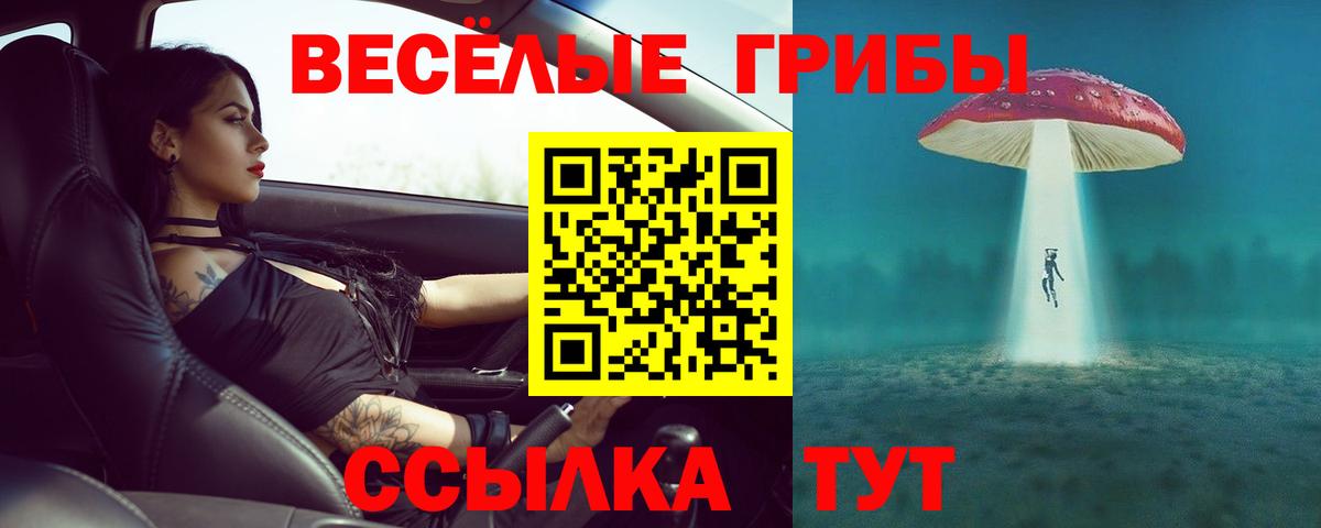 Кумертау  Галлюциногенные грибы Psilocybe  Вход с VPN 